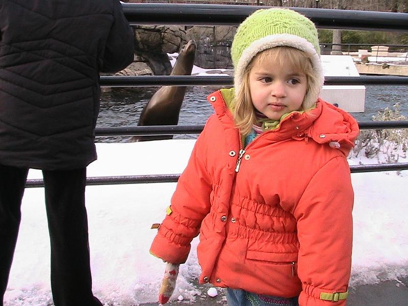 Picture 055.jpg - Look for a sealion!